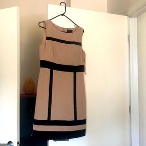 Tahari dress, can be worn  formal or informal. Never worn. Size 10.